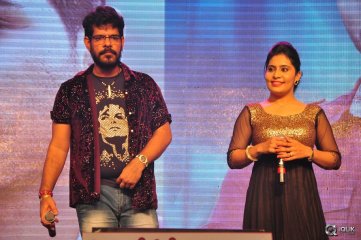 Sarrainodu Movie Blockbuster Function